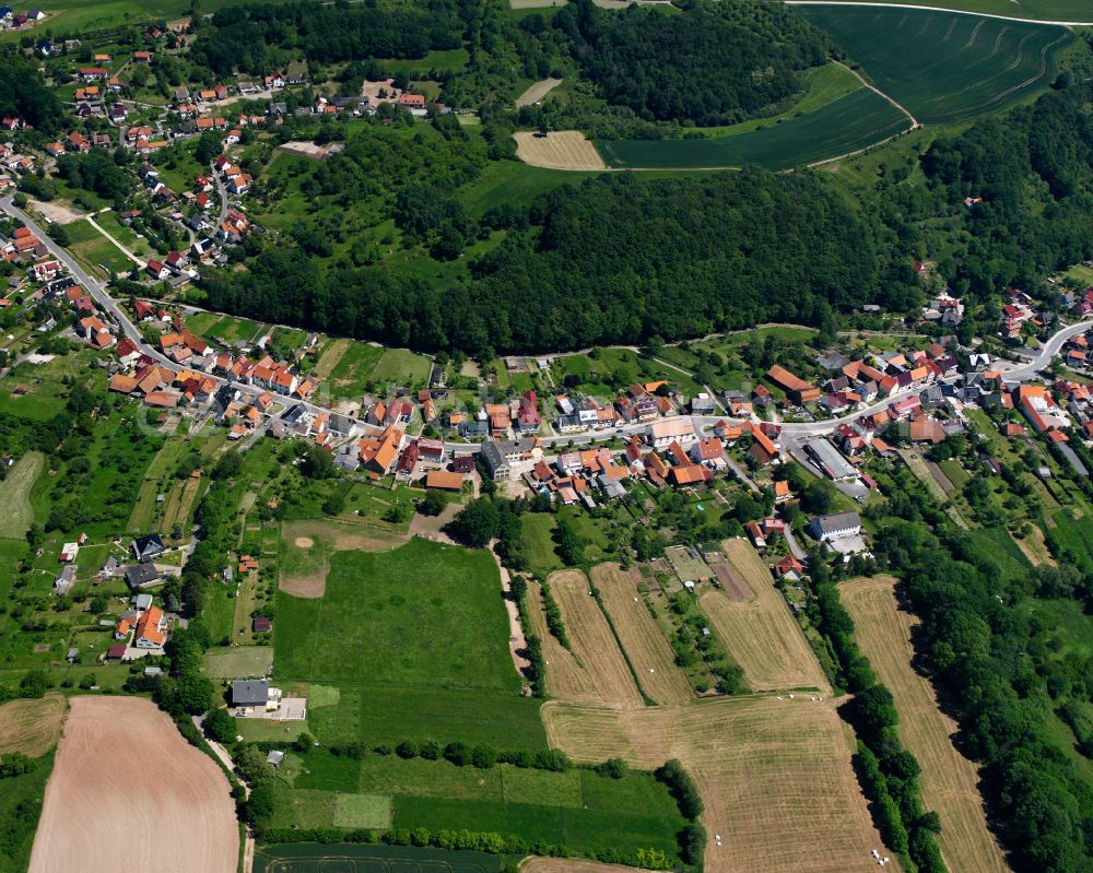 Hundeshagen from the bird's eye view: Village - view on the edge of forested areas on street Strasse der Einheit in Hundeshagen in the state Thuringia, Germany