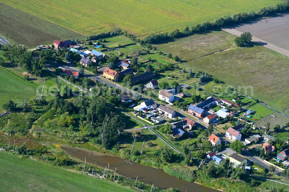 Aerial image Iserbegka - Village - view on the edge of forested areas in Iserbegka in the state Saxony-Anhalt, Germany