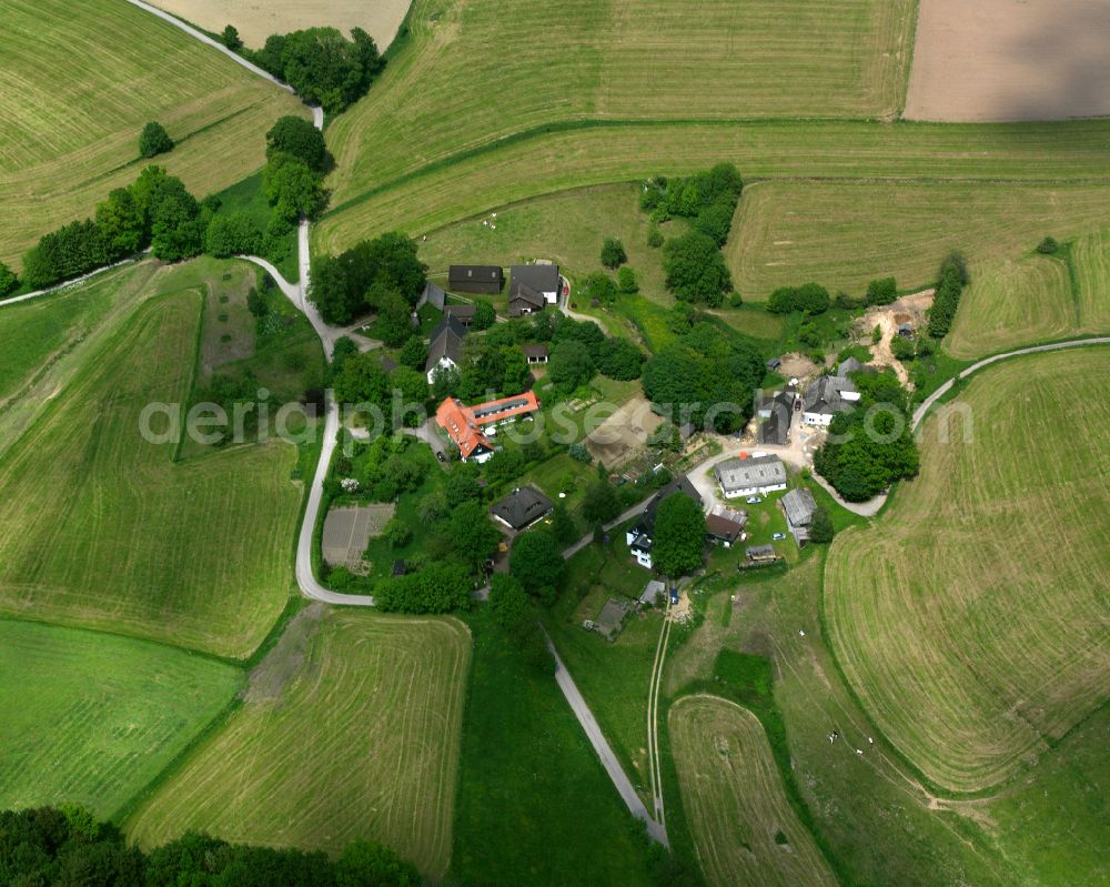 Kierspe from the bird's eye view: Village - view on the edge of forested areas in Kierspe in the state North Rhine-Westphalia, Germany