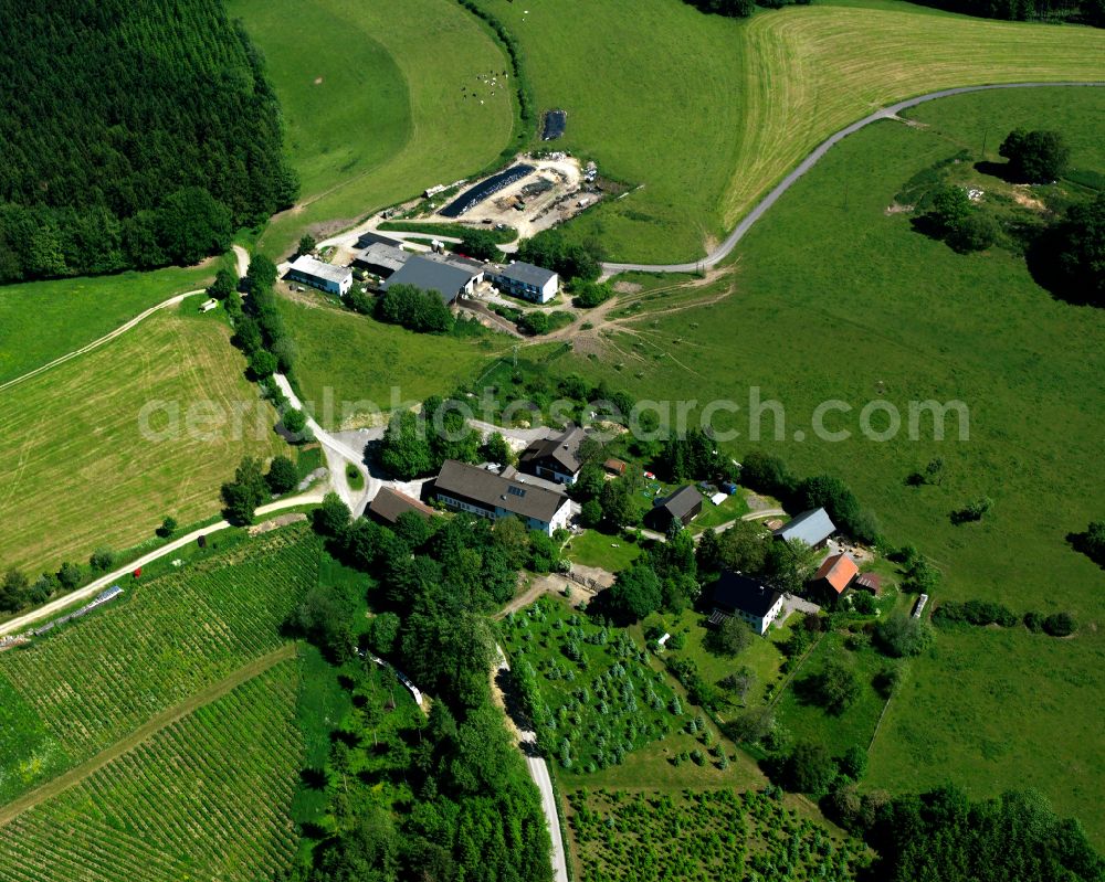 Aerial image Kierspe - Village - view on the edge of forested areas in Kierspe in the state North Rhine-Westphalia, Germany