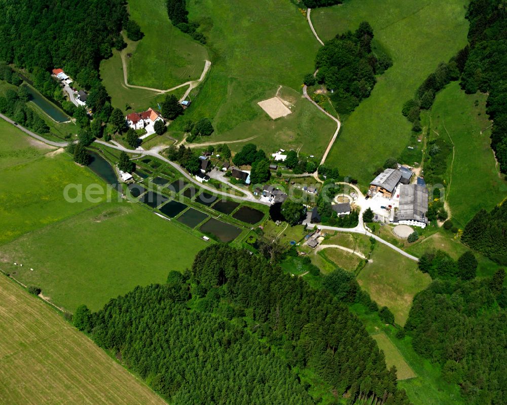 Aerial photograph Kierspe - Village - view on the edge of forested areas in Kierspe in the state North Rhine-Westphalia, Germany