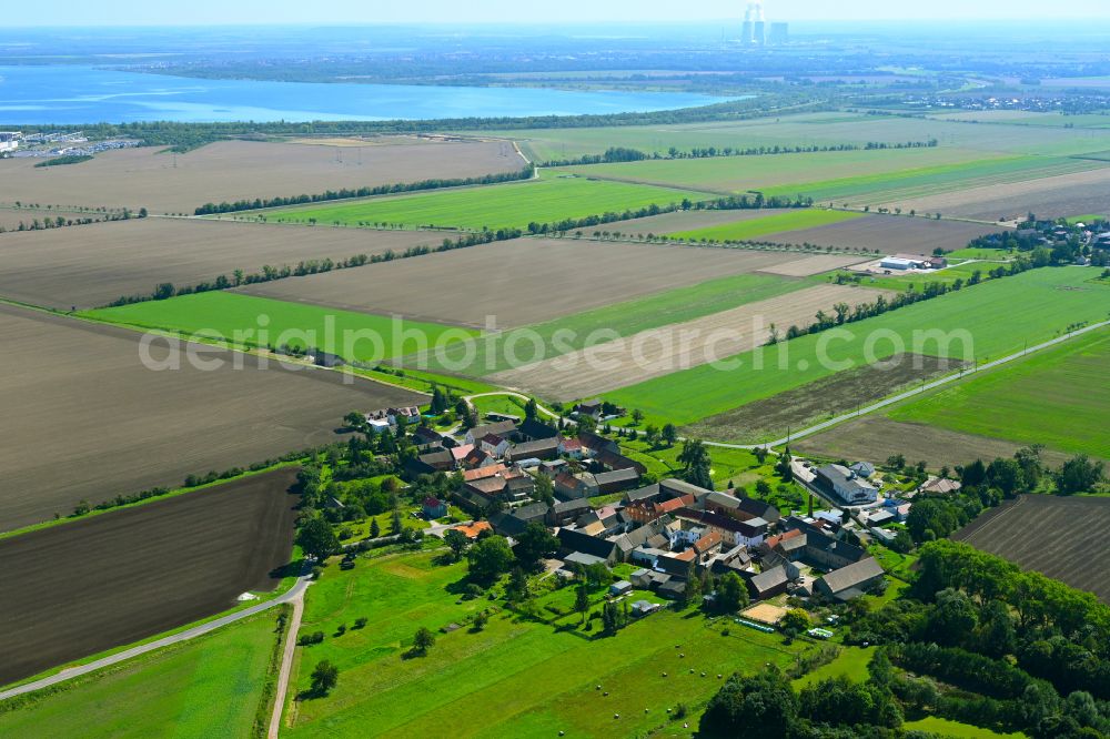 Kitzen from the bird's eye view: Village - view on the edge of forested areas in Kitzen in the state Saxony, Germany