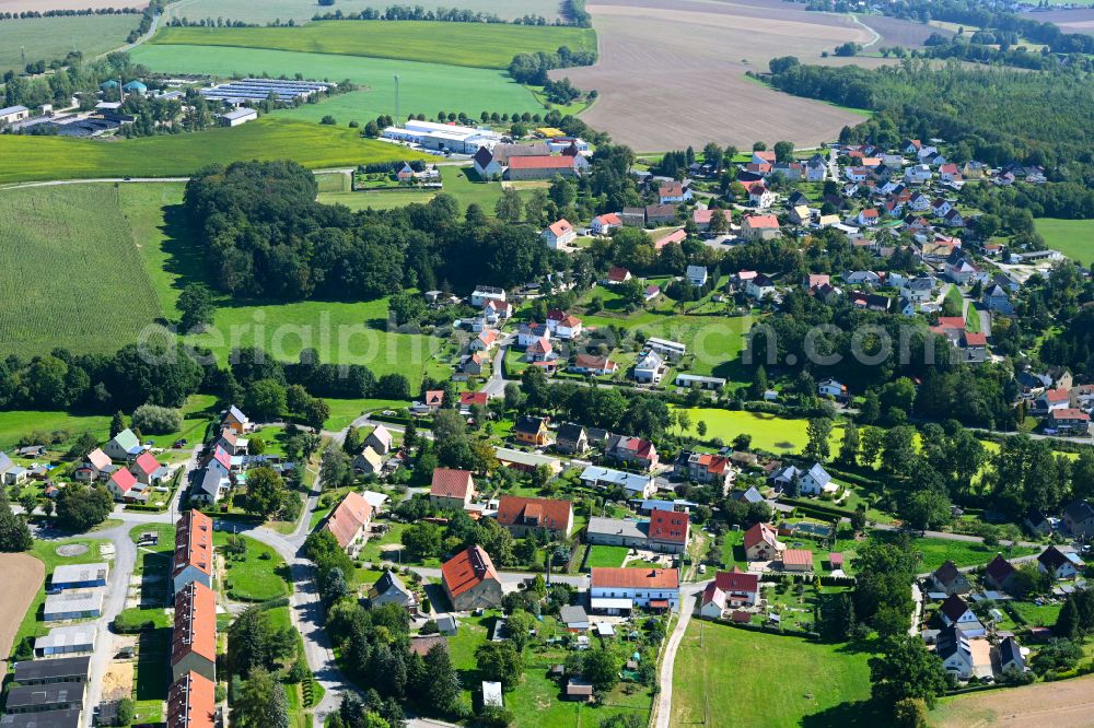 Kostitz from the bird's eye view: Village - view on the edge of forested areas in Kostitz in the state Thuringia, Germany