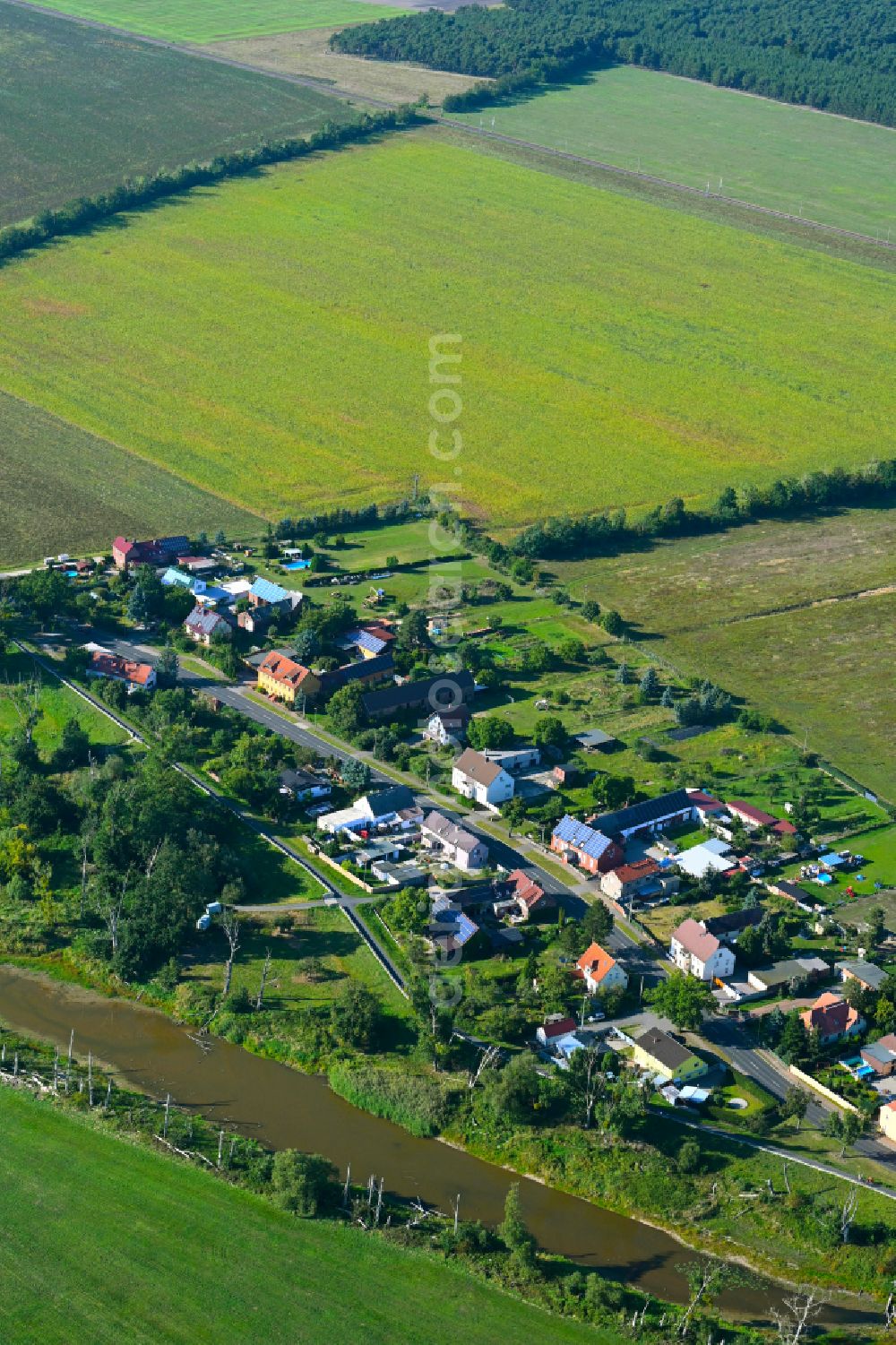 Aerial photograph Leetza - Village - view on the edge of forested areas in Leetza in the state Saxony-Anhalt, Germany
