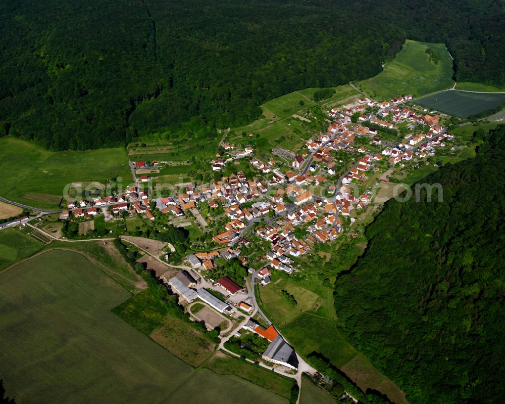 Aerial photograph Lutter - Village - view on the edge of forested areas in Lutter in the state Thuringia, Germany