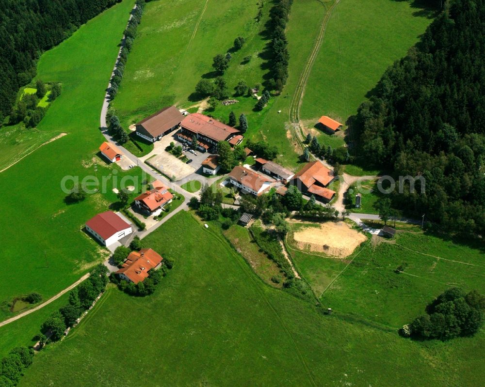 Aerial image Maierhof - Village - view on the edge of forested areas in Maierhof in the state Bavaria, Germany