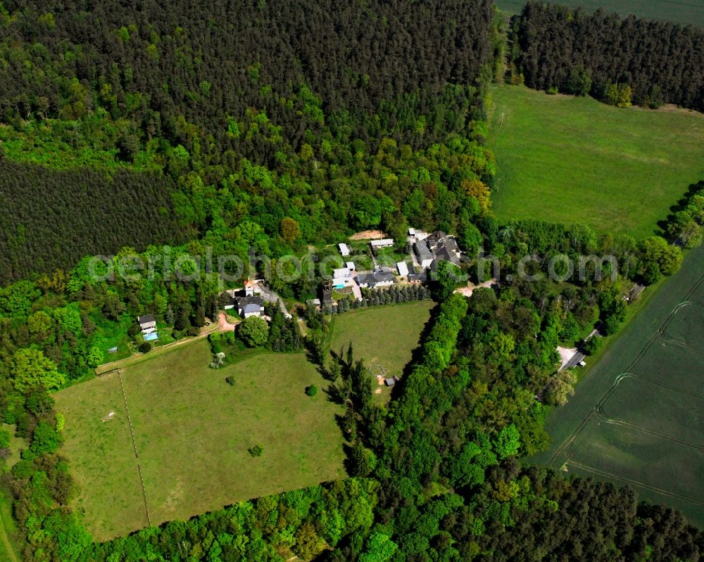 Möllensdorf from the bird's eye view: Village - view on the edge of forested areas in Möllensdorf in the state Saxony-Anhalt, Germany