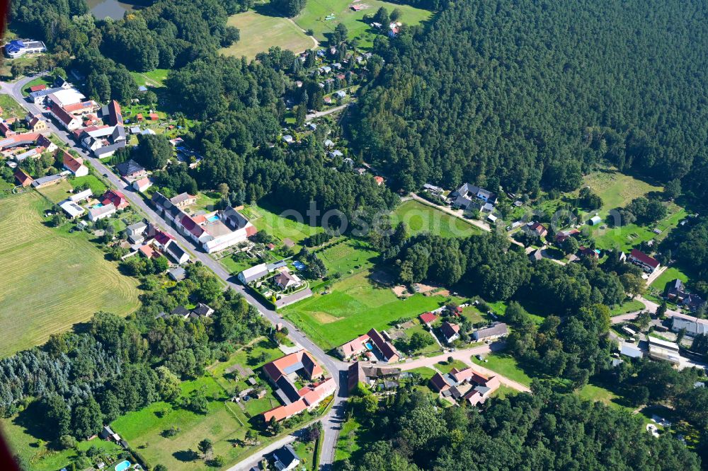Möllensdorf from the bird's eye view: Village - view on the edge of forested areas in Möllensdorf in the state Saxony-Anhalt, Germany