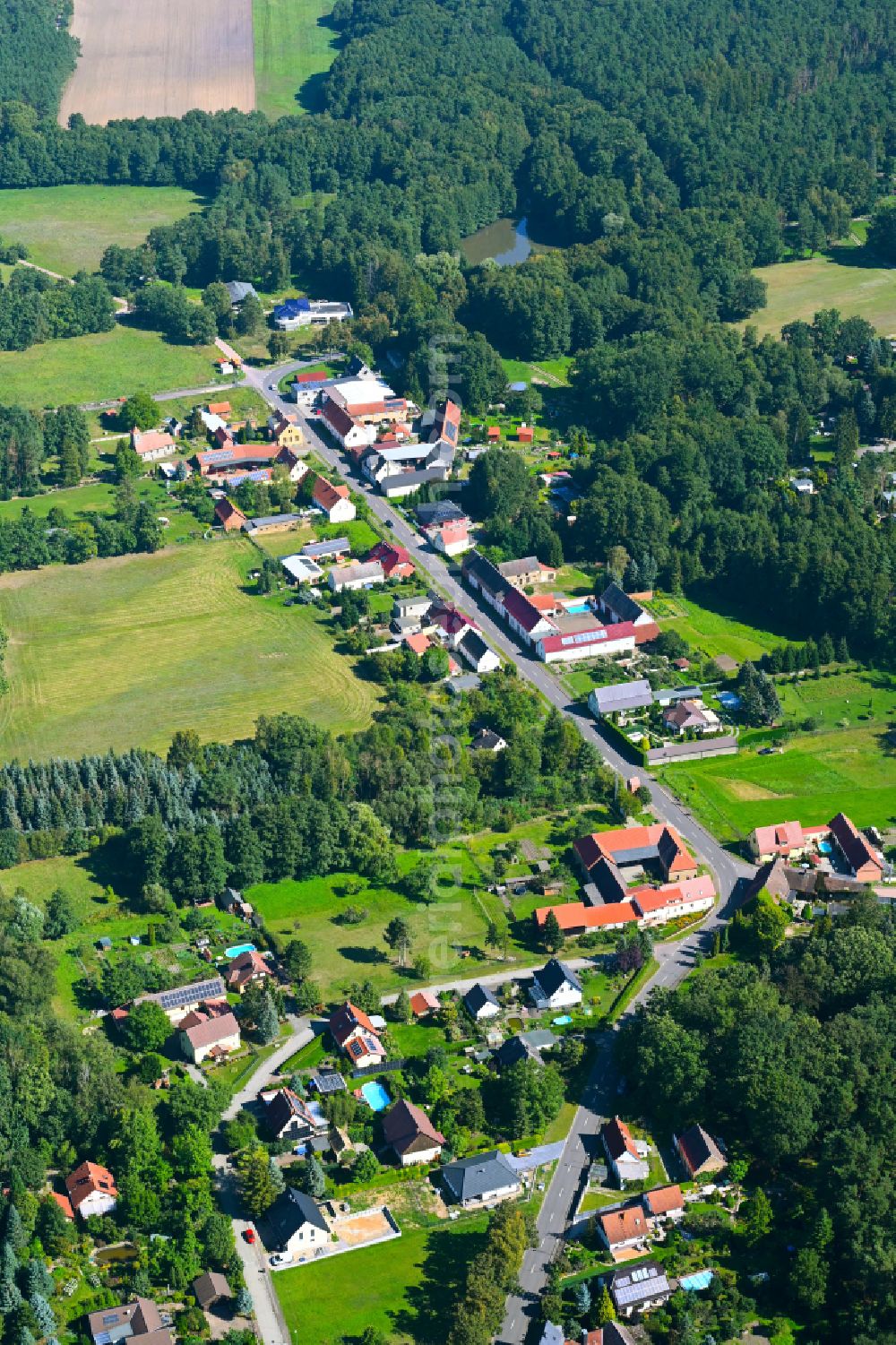 Aerial photograph Möllensdorf - Village - view on the edge of forested areas in Möllensdorf in the state Saxony-Anhalt, Germany
