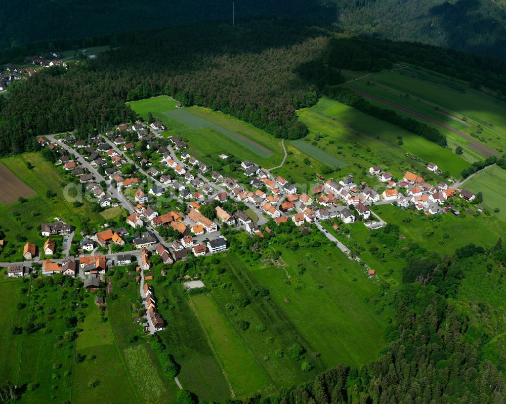 Aerial photograph Monakam - Village - view on the edge of forested areas in Monakam in the state Baden-Wuerttemberg, Germany