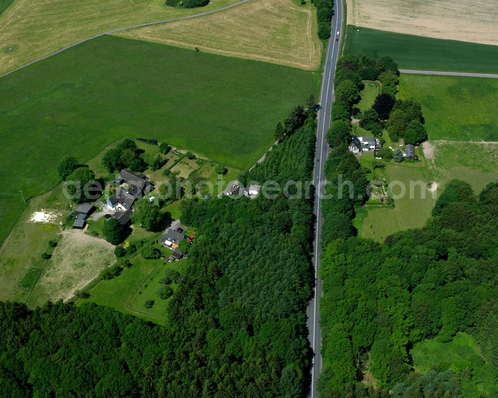 Neuenhaus from above - Village - view on the edge of forested areas in Neuenhaus in the state North Rhine-Westphalia, Germany