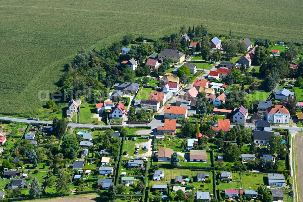 Neupoderschau from above - Village - view on the edge of forested areas in Neupoderschau in the state Saxony-Anhalt, Germany