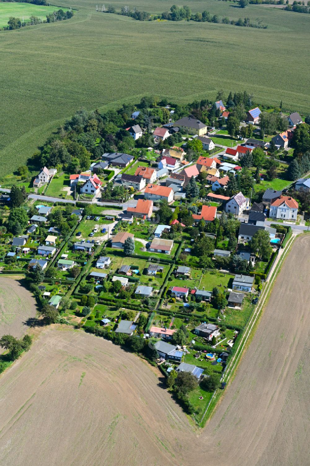 Neupoderschau from the bird's eye view: Village - view on the edge of forested areas in Neupoderschau in the state Saxony-Anhalt, Germany