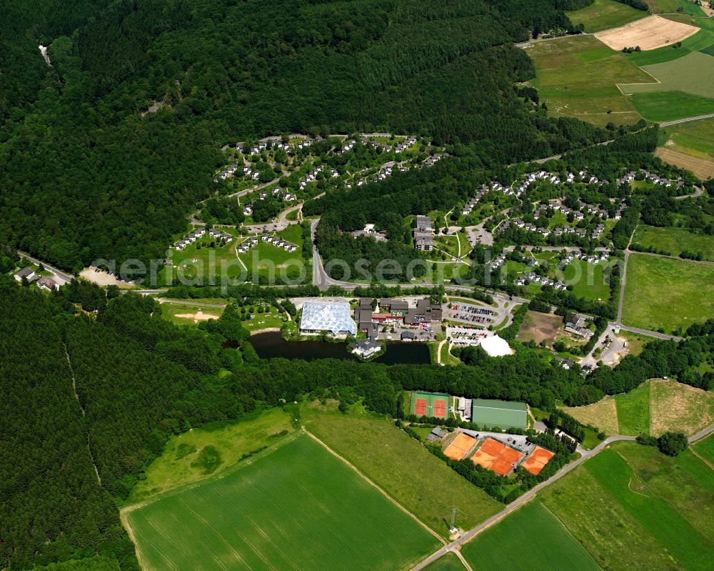 Oberhambach from the bird's eye view: Village - view on the edge of forested areas in Oberhambach in the state Rhineland-Palatinate, Germany