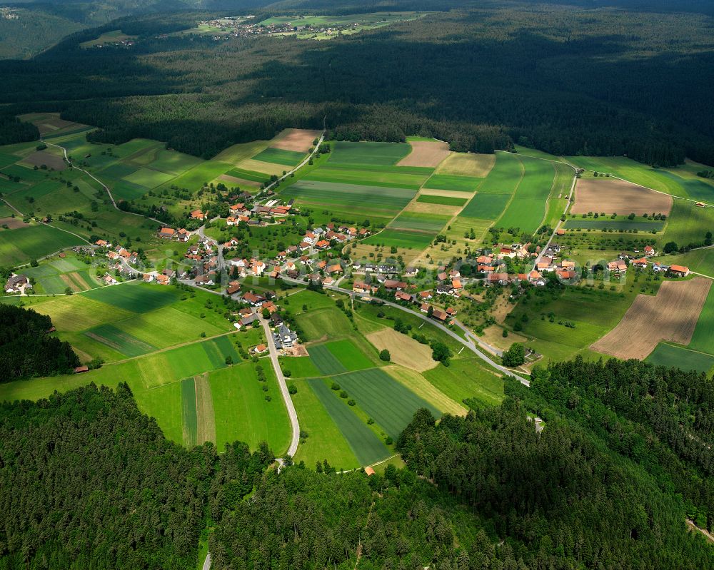 Aerial photograph Oberkollwangen - Village - view on the edge of forested areas in Oberkollwangen in the state Baden-Wuerttemberg, Germany