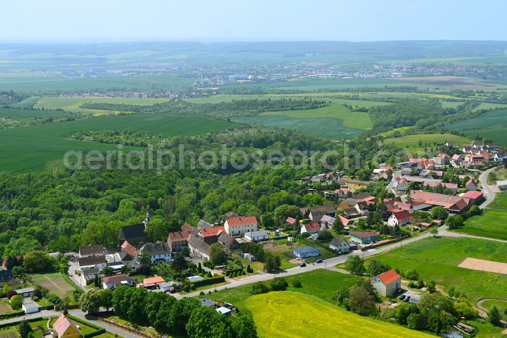 Aerial photograph Oberrißdorf - Village - view on the edge of forested areas in Oberrißdorf in the state Saxony-Anhalt, Germany