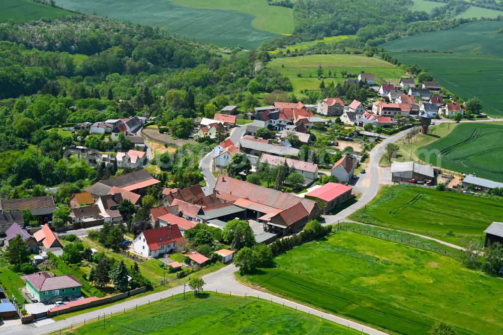 Oberrißdorf from above - Village - view on the edge of forested areas in Oberrißdorf in the state Saxony-Anhalt, Germany