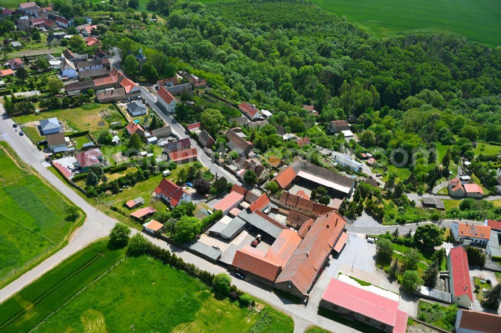 Oberrißdorf from the bird's eye view: Village - view on the edge of forested areas in Oberrißdorf in the state Saxony-Anhalt, Germany