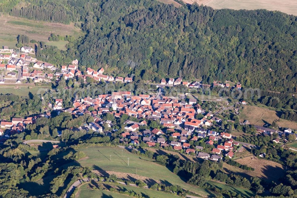 Aerial image Odenbach - Village - view on the edge of forested areas in Odenbach in the state Rhineland-Palatinate, Germany