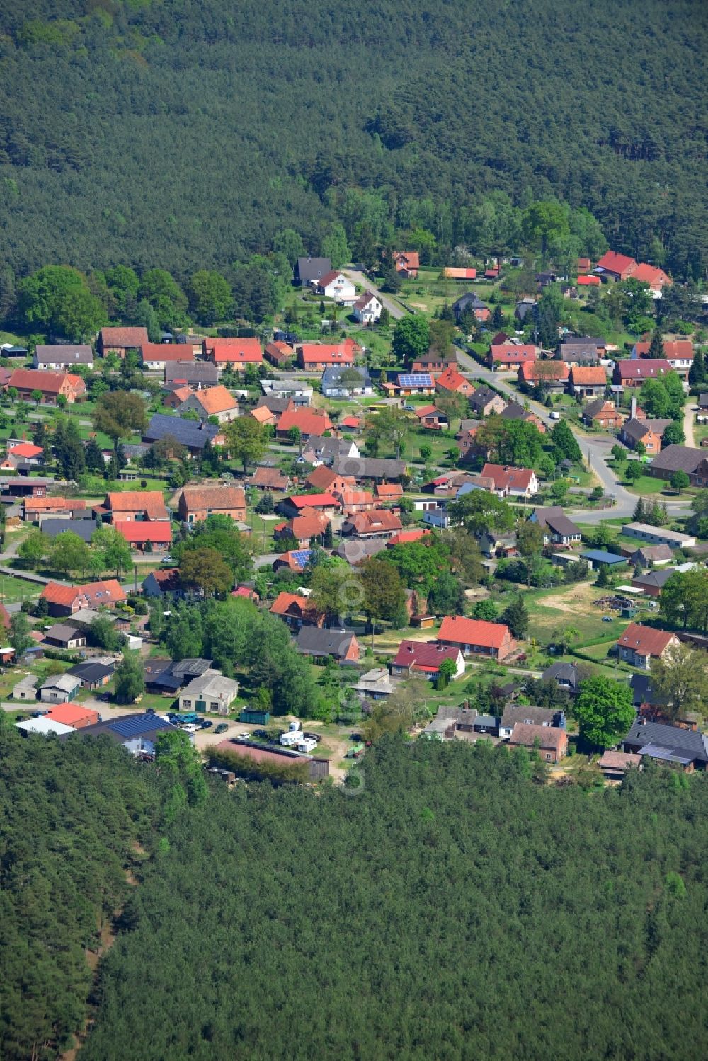 Polz from the bird's eye view: Village - view on the edge of forested areas in Polz in the state Mecklenburg - Western Pomerania, Germany