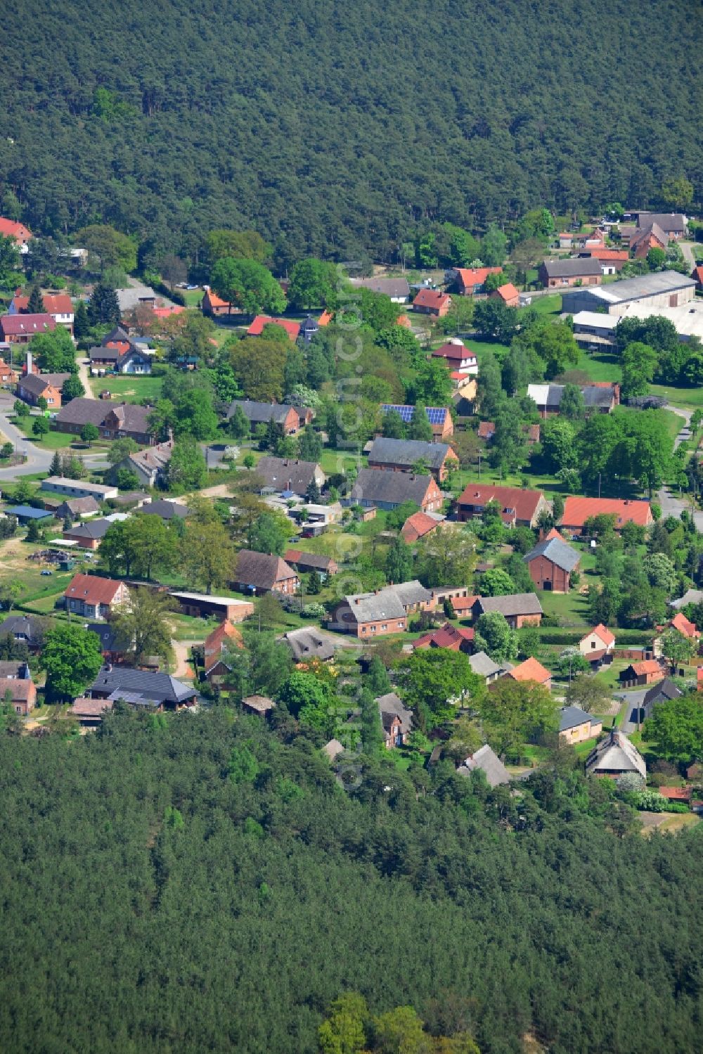 Polz from the bird's eye view: Village - view on the edge of forested areas in Polz in the state Mecklenburg - Western Pomerania, Germany