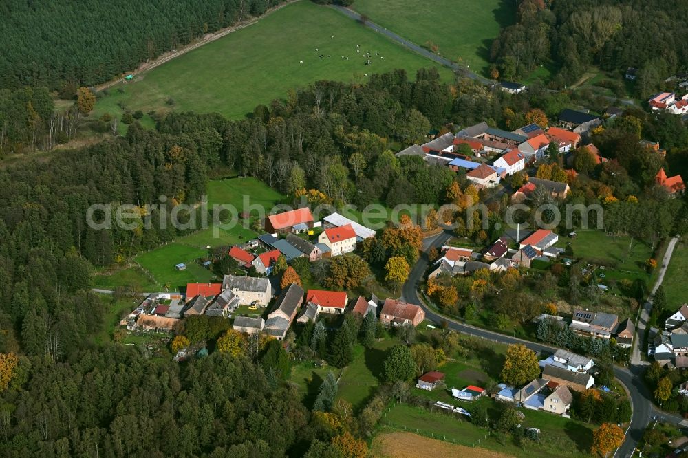 Aerial image Rabenstein/Fläming - Village - view on the edge of forested areas in Rabenstein/Flaeming in the state Brandenburg, Germany