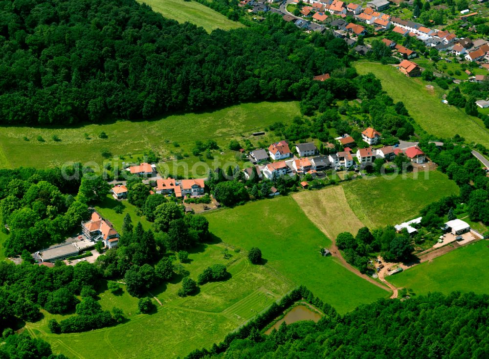 Aerial photograph Ramsen - Village - view on the edge of forested areas in Ramsen in the state Rhineland-Palatinate, Germany