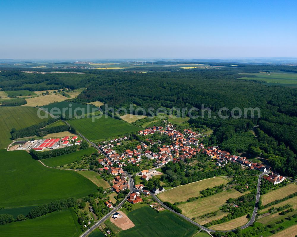 Aerial image Rüdigershagen - Village - view on the edge of forested areas in Rüdigershagen in the state Thuringia, Germany