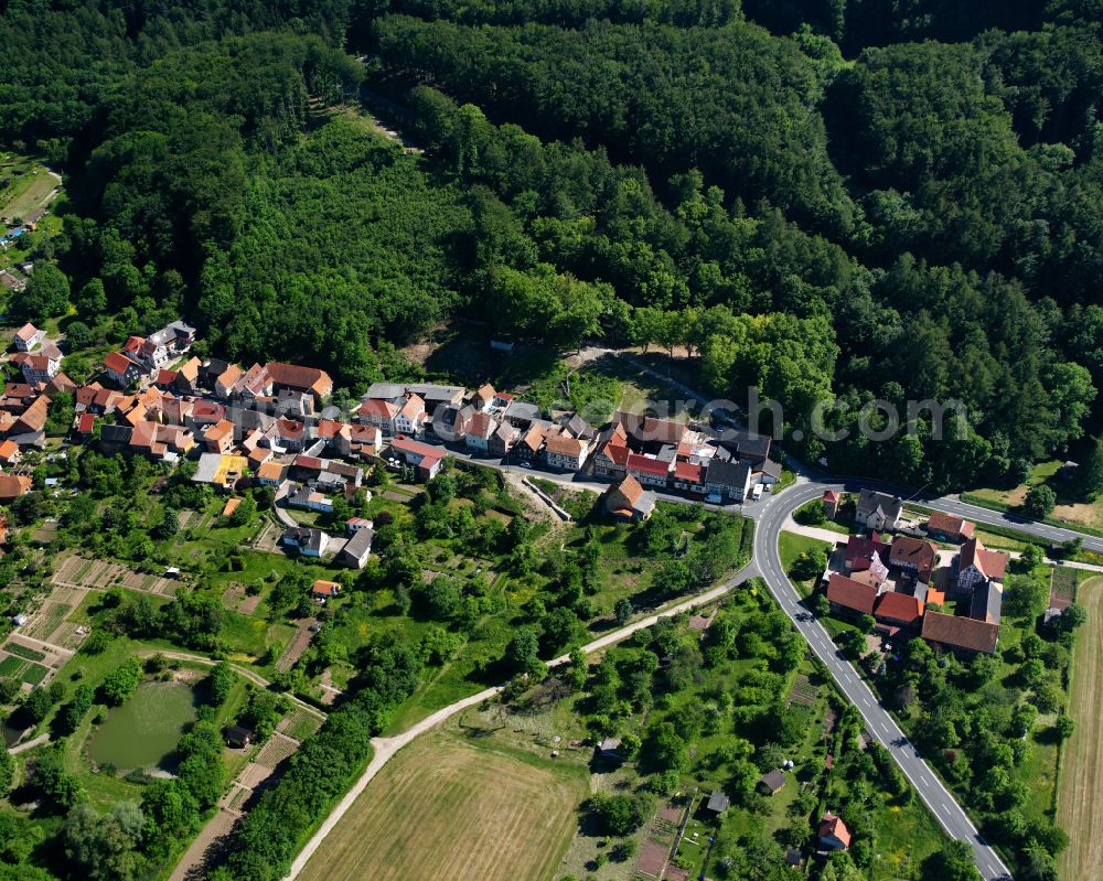 Aerial photograph Rüdigershagen - Village - view on the edge of forested areas in Rüdigershagen in the state Thuringia, Germany