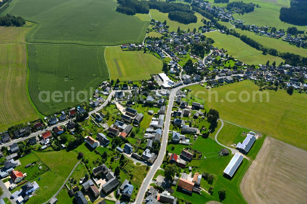 Rebesgrün from the bird's eye view: Village - view on the edge of forested areas in Rebesgrün in the state Saxony, Germany