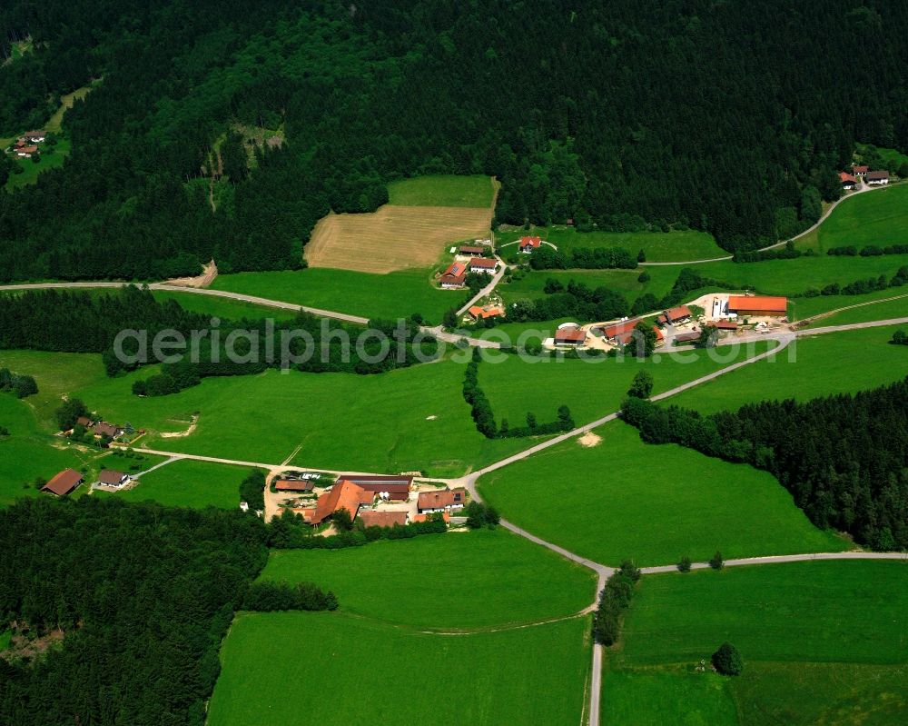 Redlmühl from the bird's eye view: Village - view on the edge of forested areas in Redlmühl in the state Bavaria, Germany