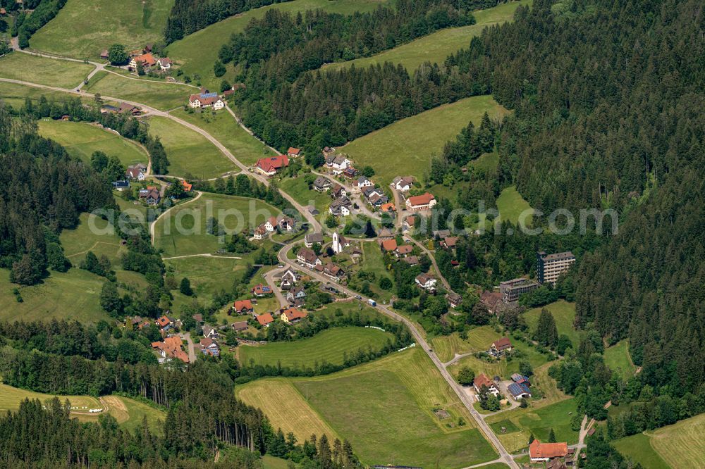 Aerial photograph Reinerzau - Village - view on the edge of forested areas in Reinerzau in the state Baden-Wuerttemberg, Germany