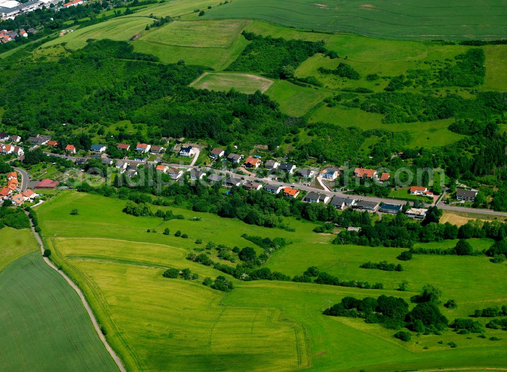 Aerial image Rockenhausen - Village - view on the edge of forested areas in Rockenhausen in the state Rhineland-Palatinate, Germany