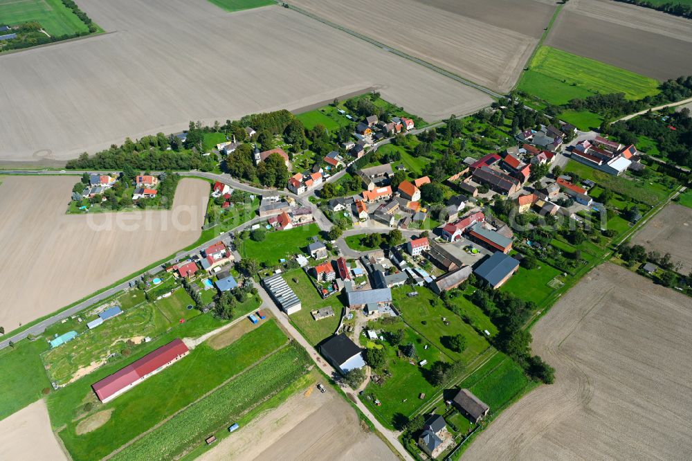 Schkeitbar from above - Village - view on the edge of forested areas in Schkeitbar in the state Saxony, Germany