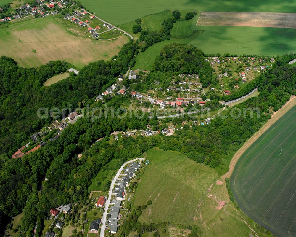 Schloßberg from above - Village - view on the edge of forested areas in Schloßberg in the state Thuringia, Germany