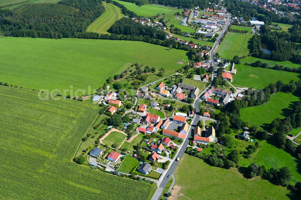 Aerial image Schloßig - Village - view on the edge of forested areas in Schloßig in the state Thuringia, Germany