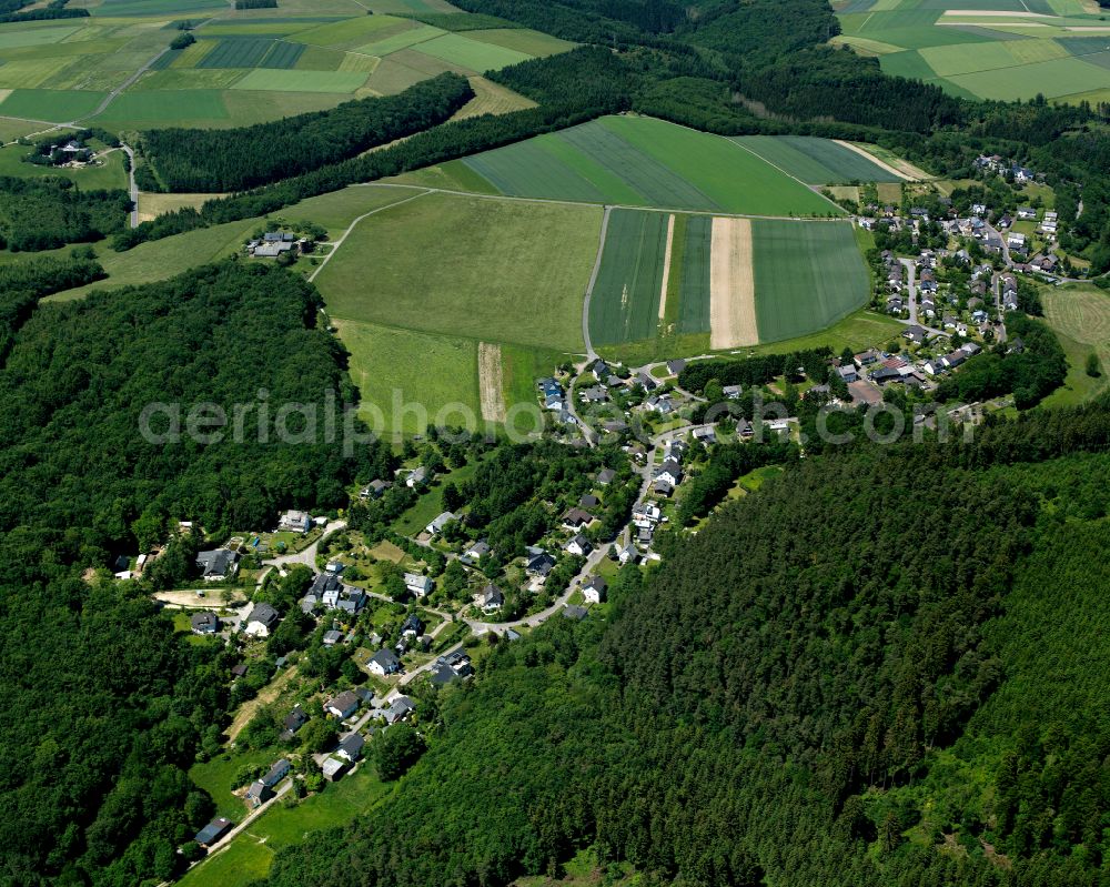 Schnellbach from the bird's eye view: Village - view on the edge of forested areas in Schnellbach in the state Rhineland-Palatinate, Germany