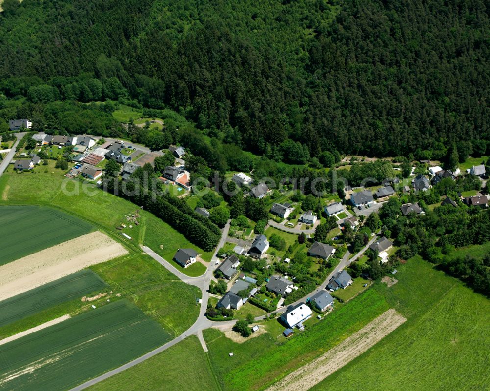 Aerial photograph Schnellbach - Village - view on the edge of forested areas in Schnellbach in the state Rhineland-Palatinate, Germany