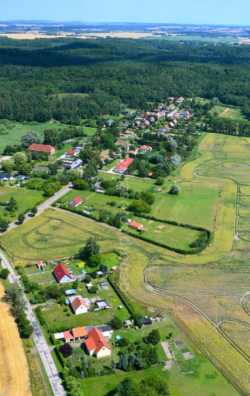 Aerial photograph Schwiggerow - Village - view on the edge of forested areas in Schwiggerow in the state Mecklenburg - Western Pomerania, Germany