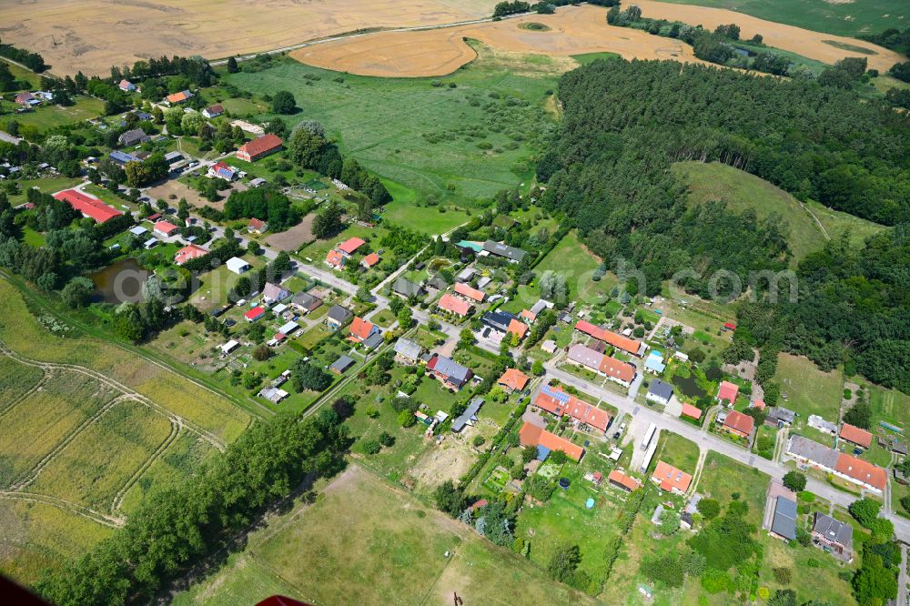 Schwiggerow from the bird's eye view: Village - view on the edge of forested areas in Schwiggerow in the state Mecklenburg - Western Pomerania, Germany