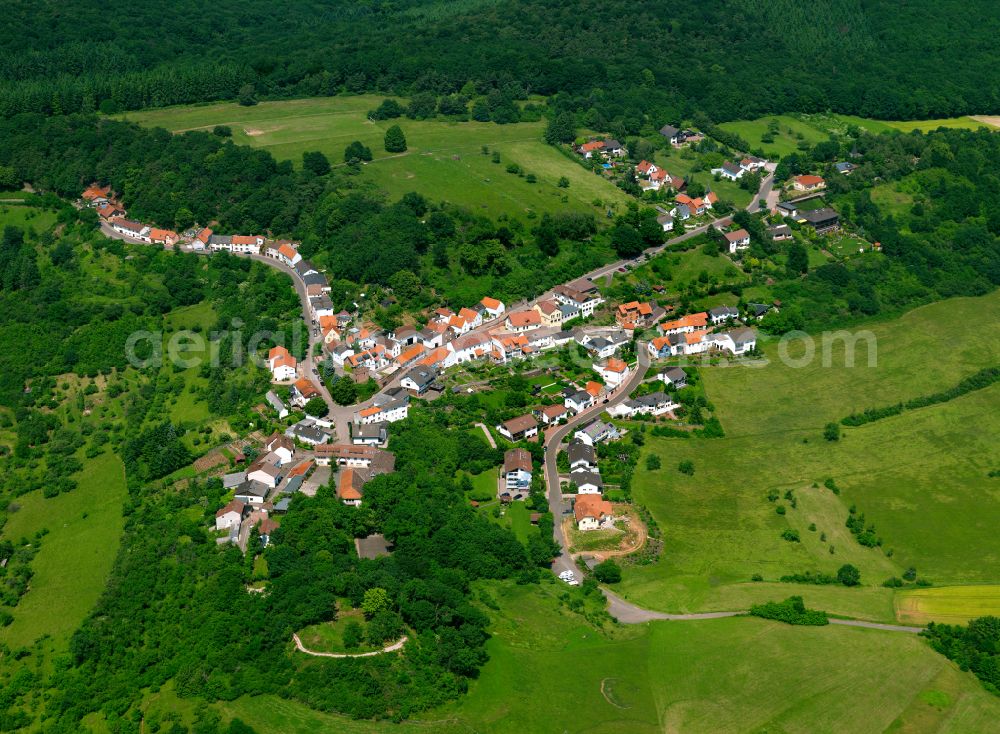 Stauf from above - Village - view on the edge of forested areas in Stauf in the state Rhineland-Palatinate, Germany