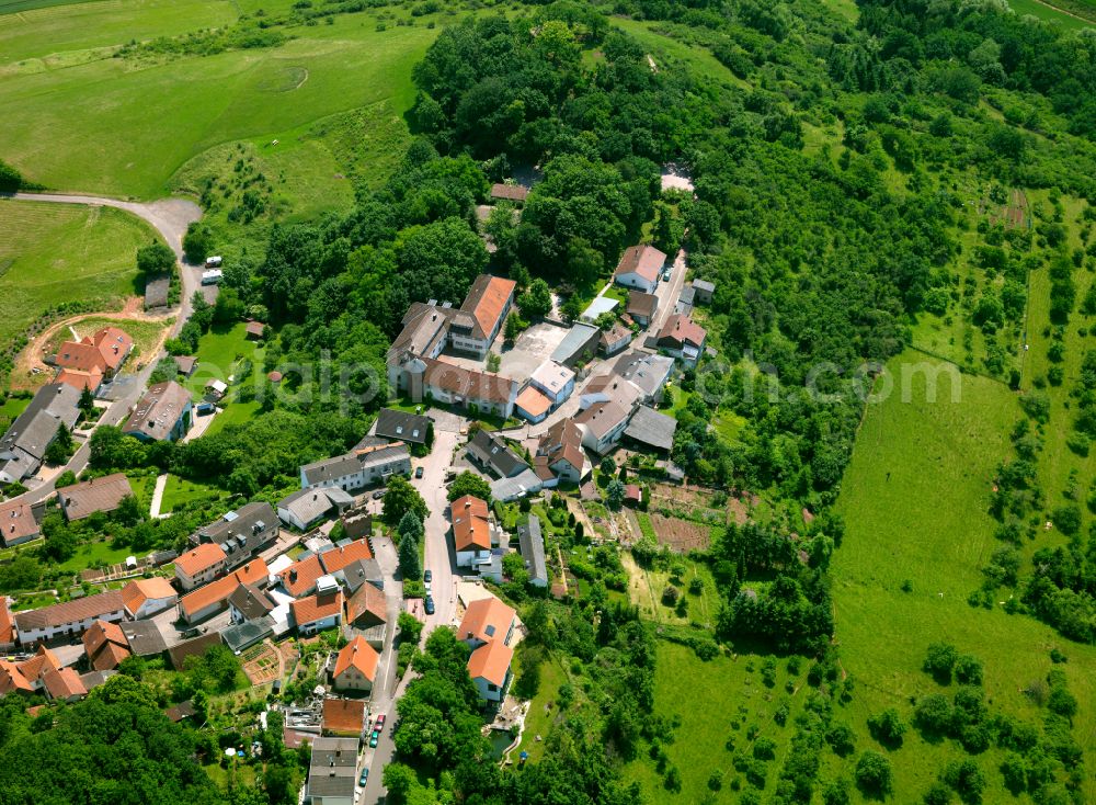 Aerial image Stauf - Village - view on the edge of forested areas in Stauf in the state Rhineland-Palatinate, Germany