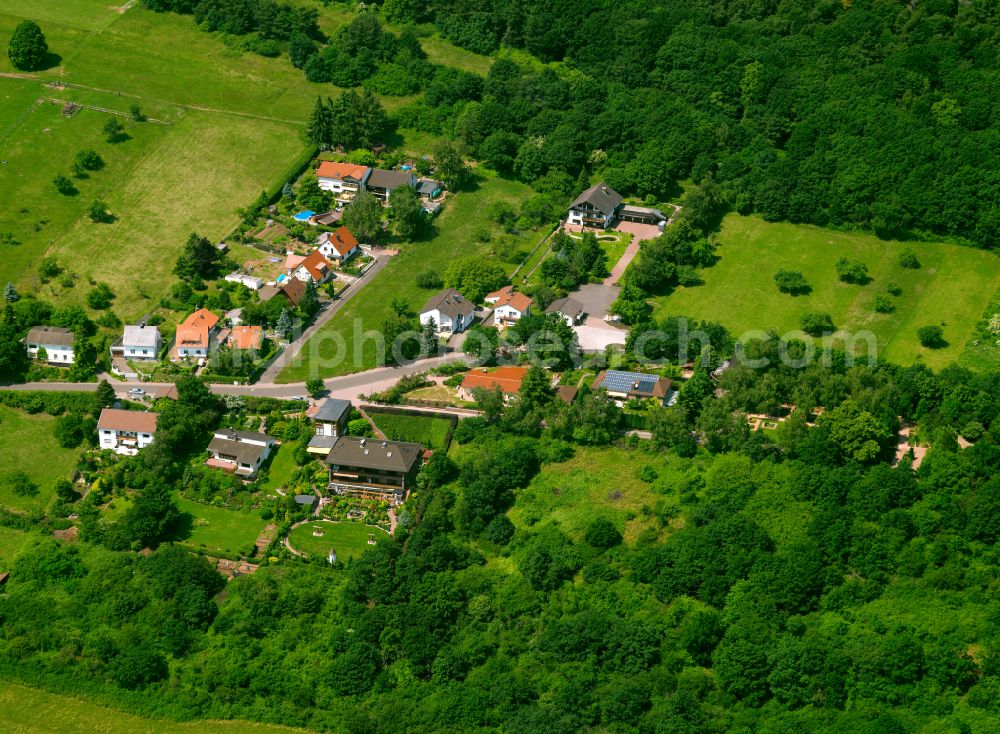 Aerial photograph Stauf - Village - view on the edge of forested areas in Stauf in the state Rhineland-Palatinate, Germany