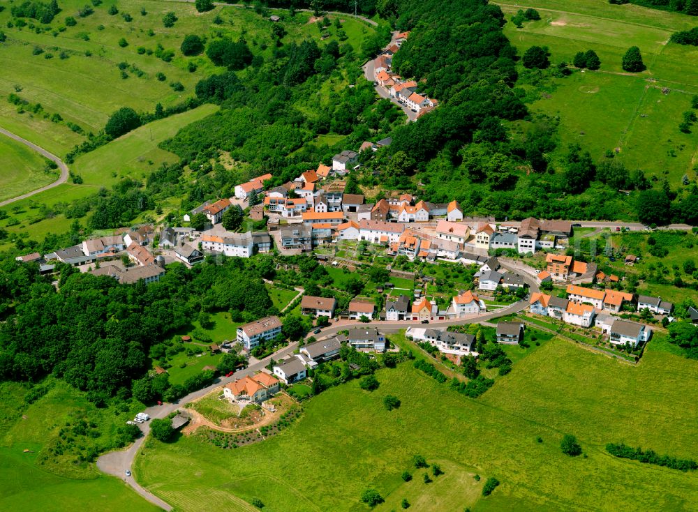 Stauf from above - Village - view on the edge of forested areas in Stauf in the state Rhineland-Palatinate, Germany