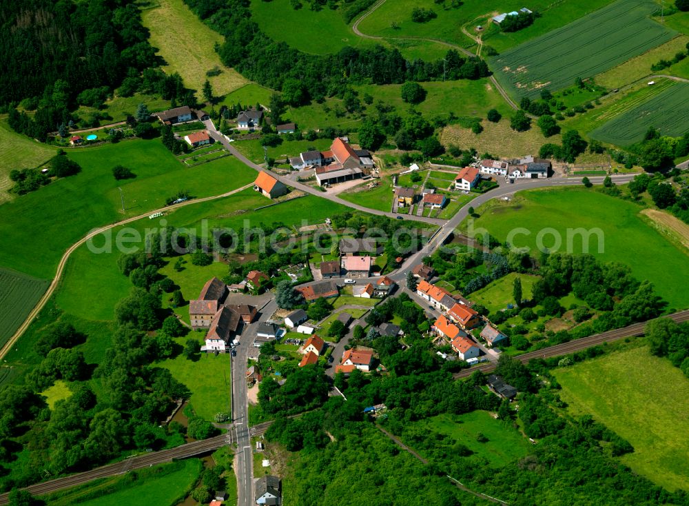 Steckweiler from the bird's eye view: Village - view on the edge of forested areas in Steckweiler in the state Rhineland-Palatinate, Germany