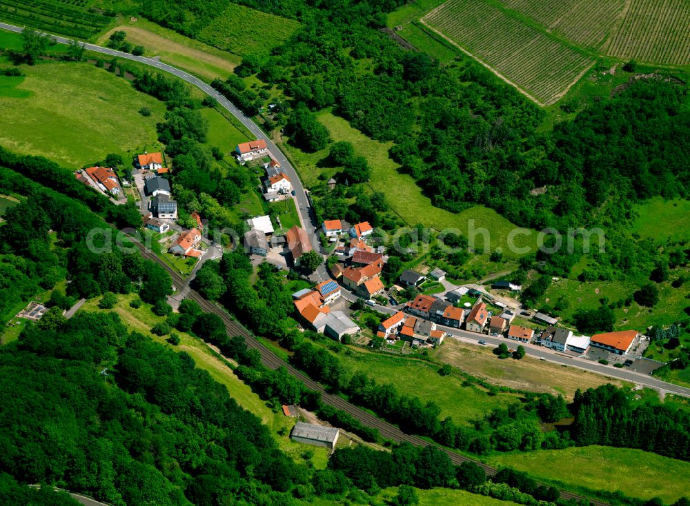 Aerial image Steingruben - Village - view on the edge of forested areas in Steingruben in the state Rhineland-Palatinate, Germany