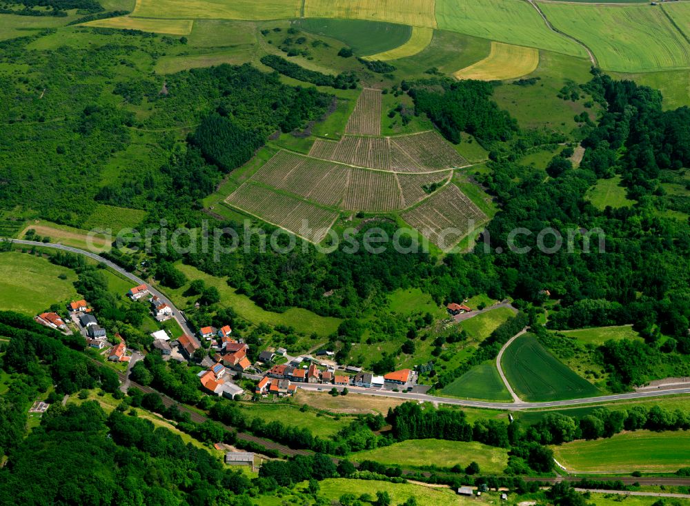 Aerial photograph Steingruben - Village - view on the edge of forested areas in Steingruben in the state Rhineland-Palatinate, Germany