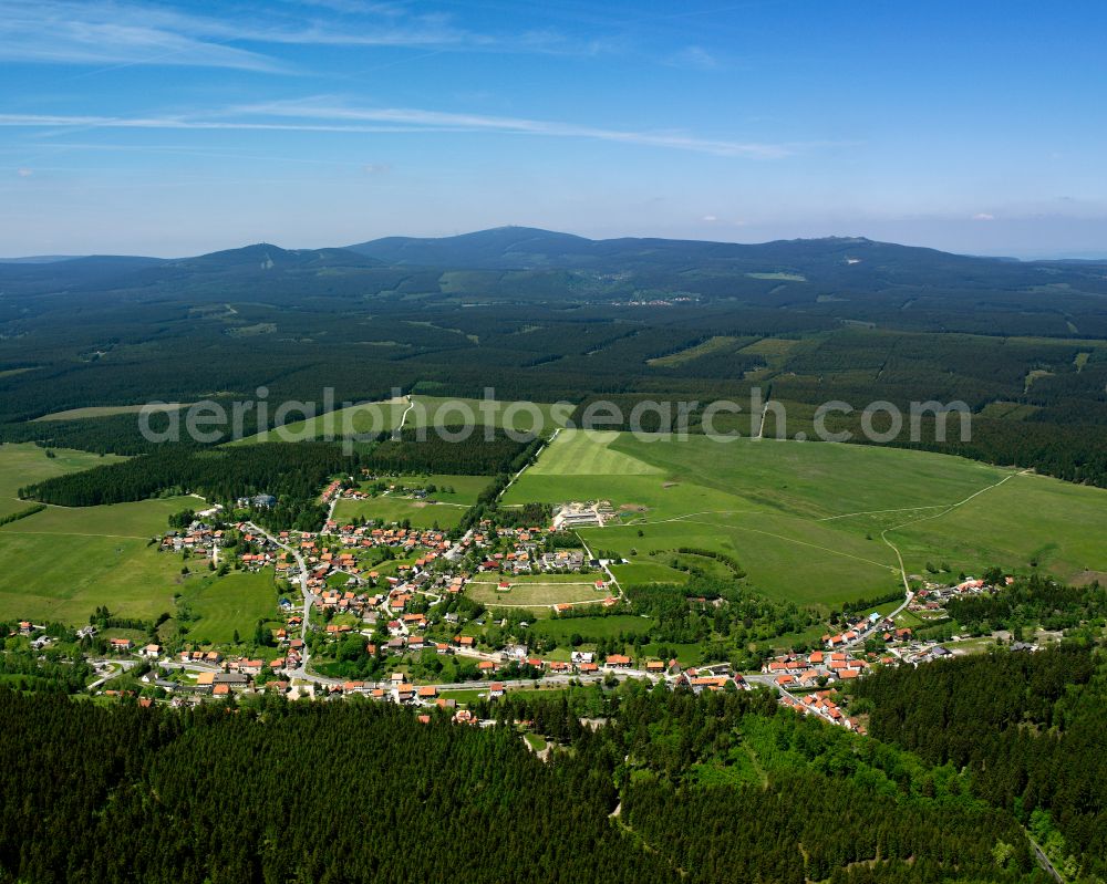 Tanne from the bird's eye view: Village - view on the edge of forested areas in Tanne in the state Saxony-Anhalt, Germany