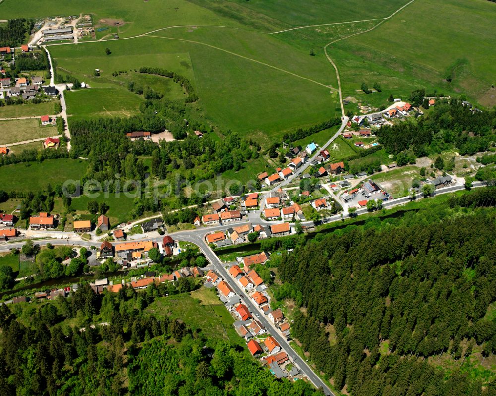 Aerial photograph Tanne - Village - view on the edge of forested areas in Tanne in the state Saxony-Anhalt, Germany