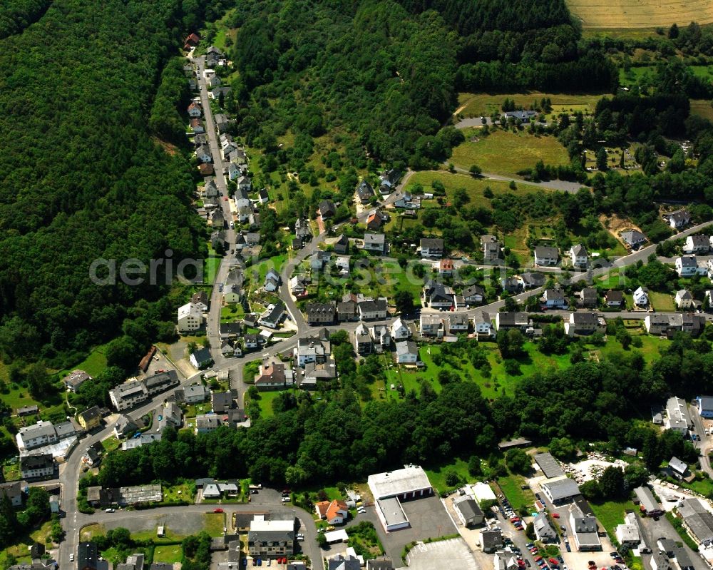 Tiefenstein from the bird's eye view: Village - view on the edge of forested areas in Tiefenstein in the state Rhineland-Palatinate, Germany